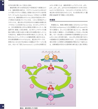 解明病理学第4版 病気のメカニズムを解く | 青笹 克之, 加藤 光保