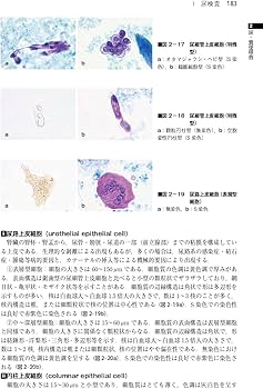 臨床検査法提要 改訂第36版 | 奥村 伸生, 本田 孝行, 矢冨 裕, 山内 一
