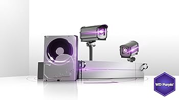 Amazon.com: Western Digital Purple 3TB Surveillance Hard Disk