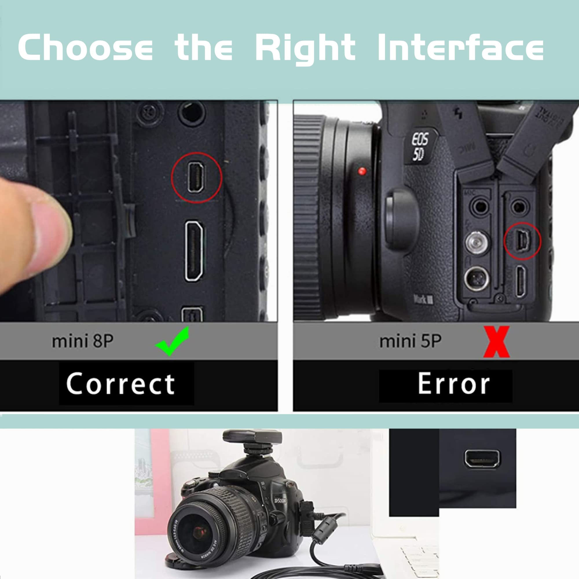 Amazon.co.jp: Xzrucst 3フィート USBデータケーブルコード