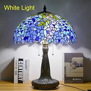 71yuAG1bGDL._AC_UF350,