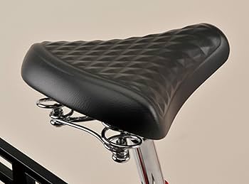 Amazon | キャプテンスタッグ(CAPTAIN STAG) コンタナ 20インチ