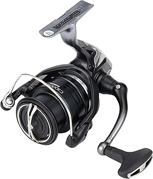 SHIMANO 20 EXSENCE BB C3000M HG, Spinning Reels - Amazon Canada