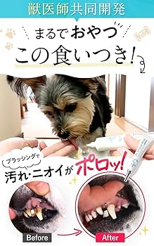Amazon.co.jp: 【ドクターデンタルワン】犬 歯磨き 犬 歯ブラシ 犬