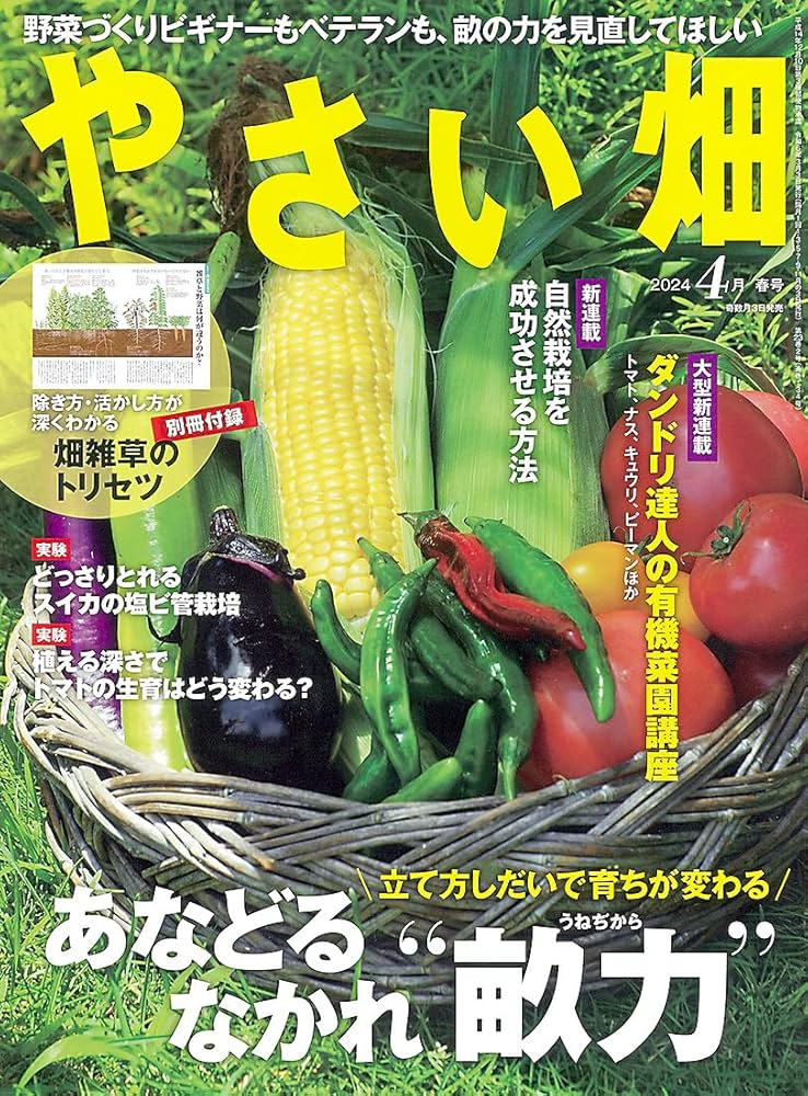やさい畑 春号 2024年4月号【特別付録つき】 | 家の光協会 |本 | 通販