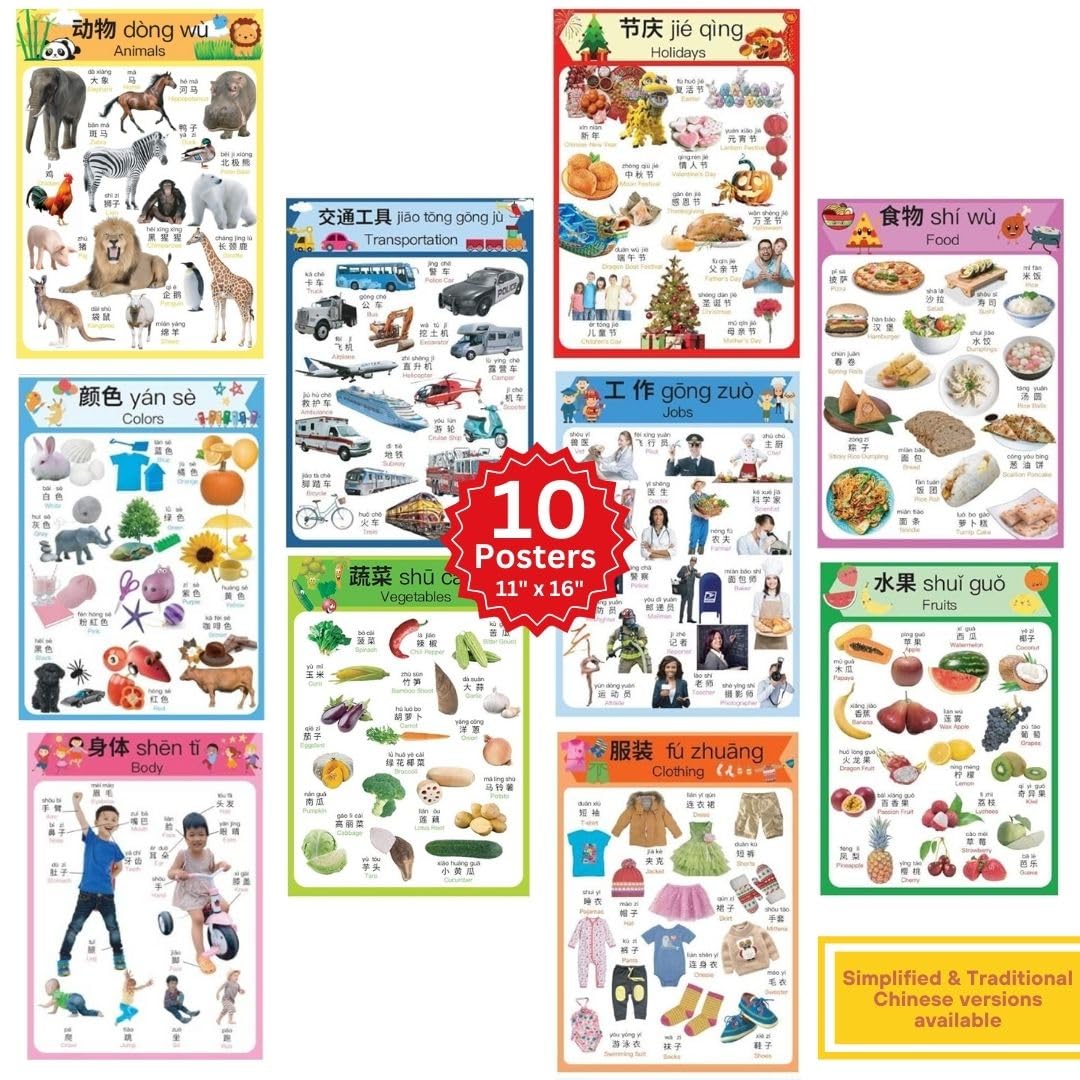 Dino Lingo Chinese for kids 6枚セット 中国語 完売 Amazon.co.jp: N