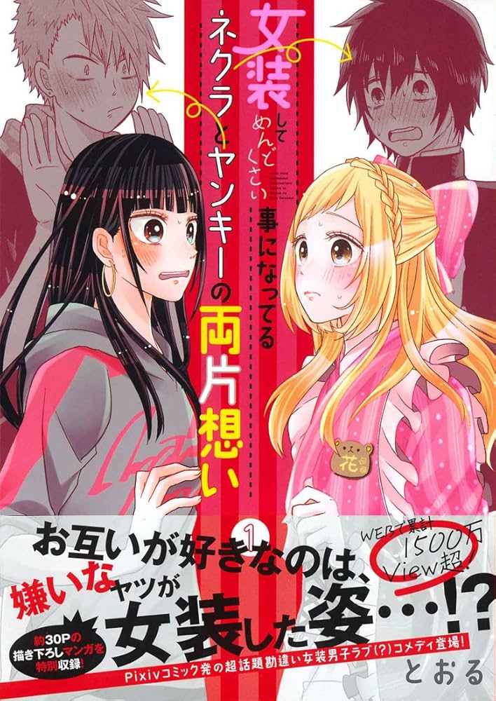 女装してめんどくさい事になってるネクラとヤンキーの両片想い 1