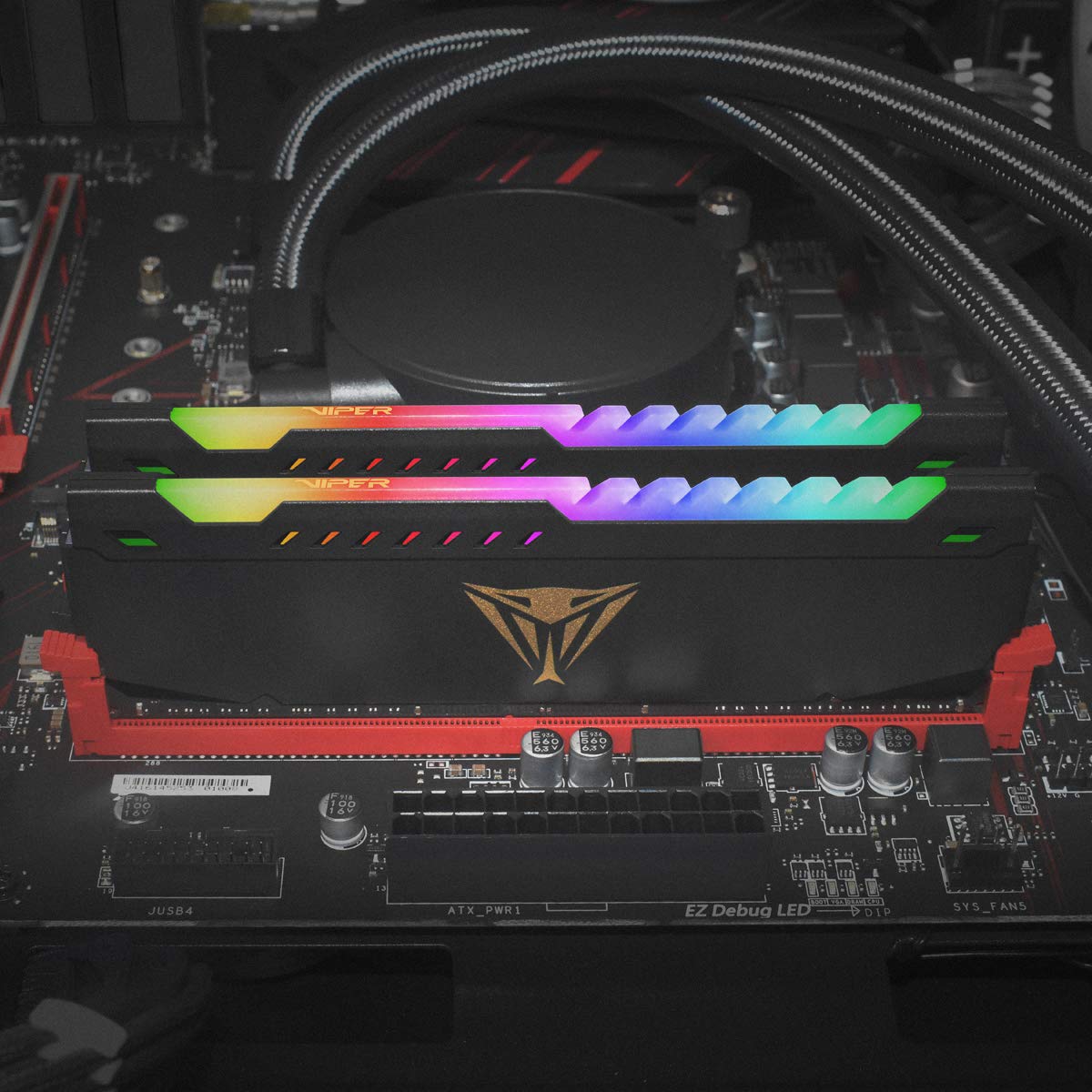 Amazon.com: Patriot Viper Steel RGB DDR4 RAM 32GB (1X32GB) 3600MHz