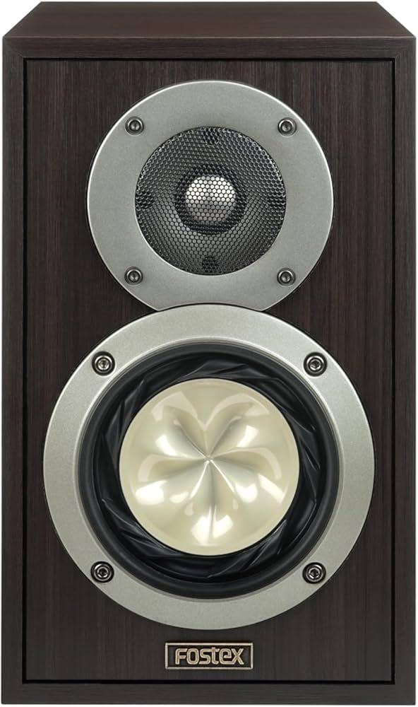 Amazon.co.jp: Fostex 2Wayバスレフ型スピーカーシステム 1台 GX100BJ