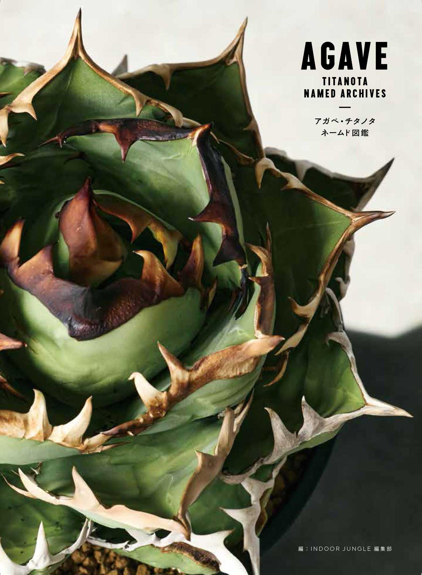 アガベ・チタノタ ネームド図鑑 AGAVE TITANOTA NAMED ARCHIVES