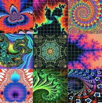 71ASOsr9UCL._AC_UF350,