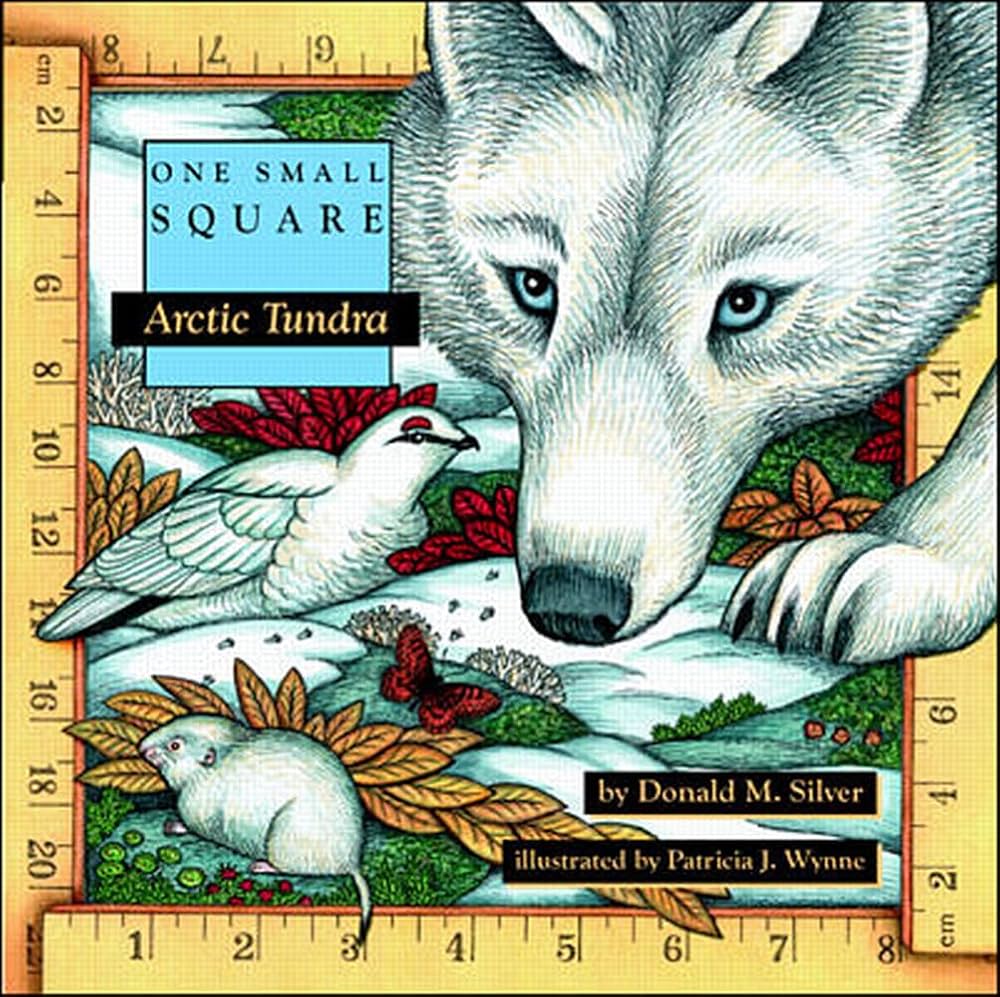 Arctic Tundra: Silver, Donald M., Wynne, Patricia: 9780070579279