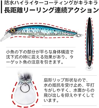 Amazon.co.jp: キンドウム（KINGDOM）5枚セット シーバス ミノー