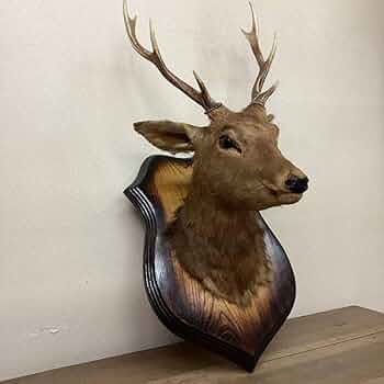 Amazon.co.jp: 鹿剥製ハンティングトロフィーインテリアオブジェ壁掛け