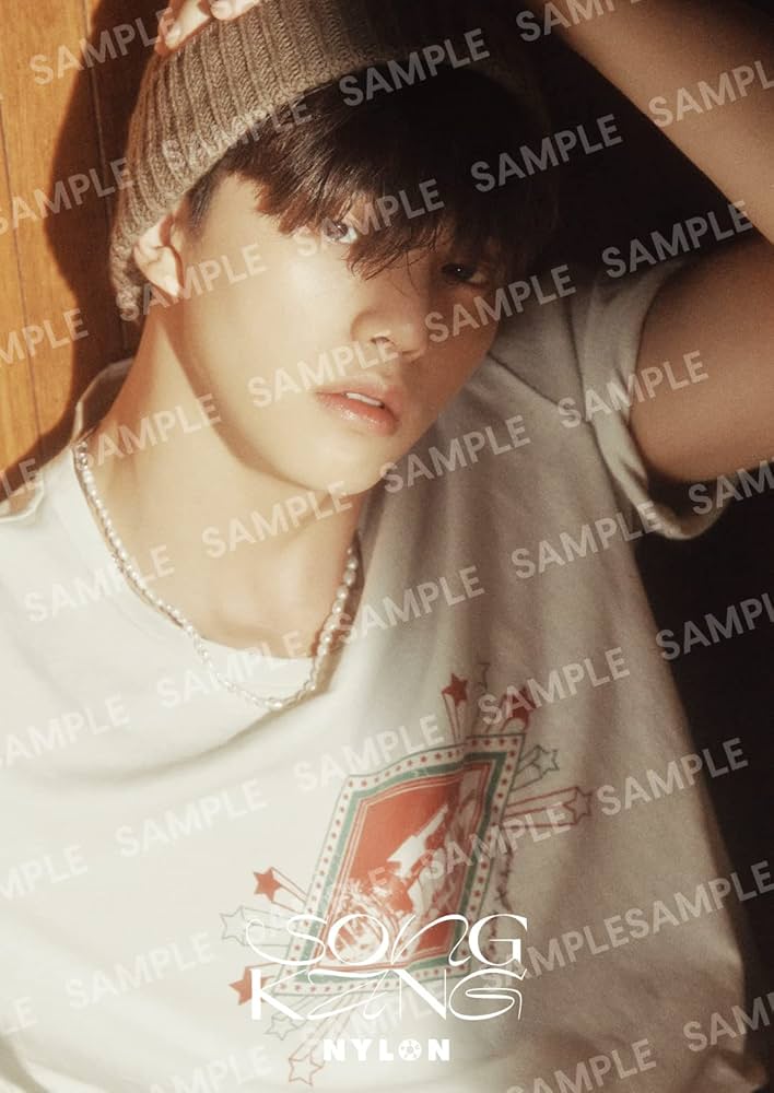 Amazon.co.jp: SONG KANG NYLON SUPER VOL.12 : NYLON JAPAN: Japanese