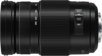 Amazon.com : Panasonic LUMIX G II Vario Lens, 100-300MM