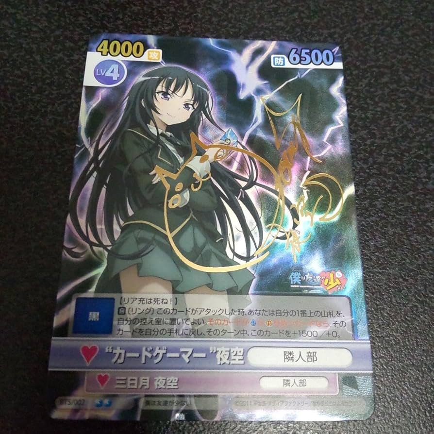 Amazon.co.jp: ヴィクトリースパーク SPサイン カードゲーマー夜空 僕