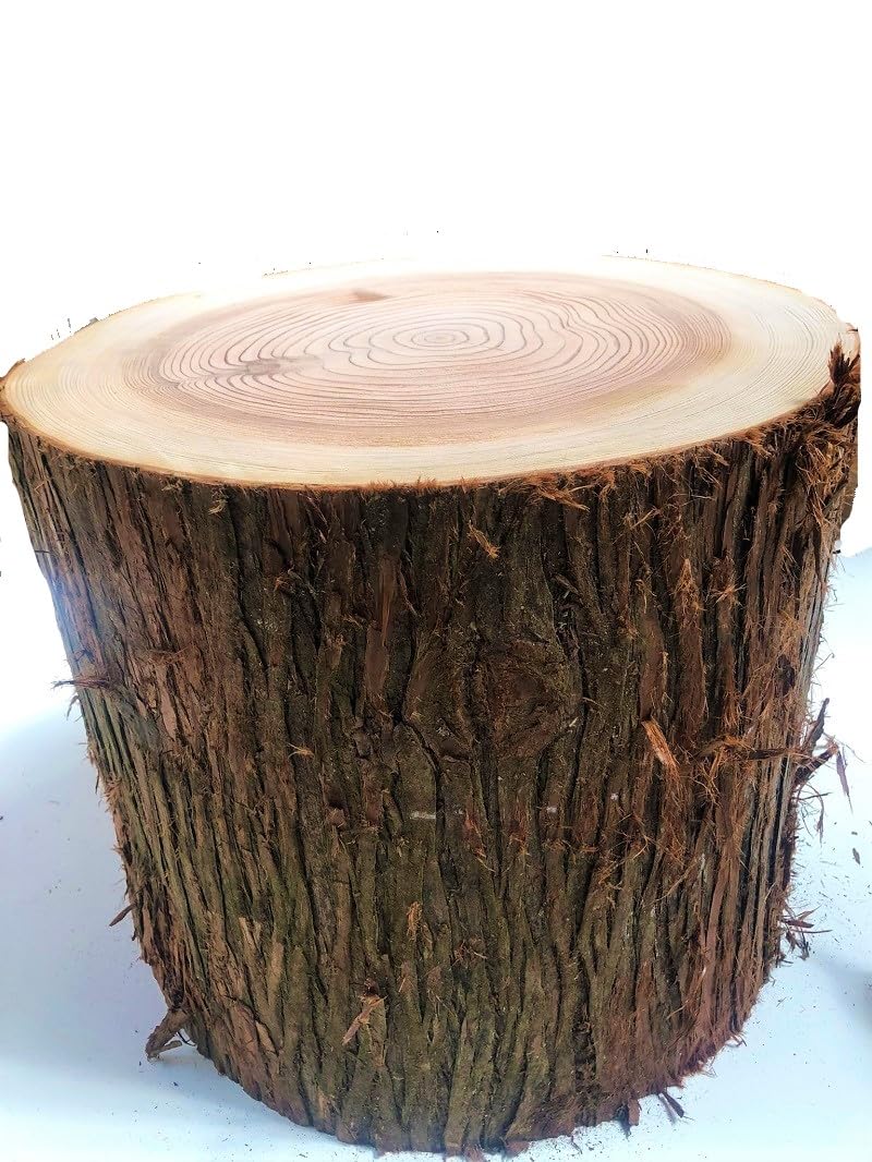 Amazon.co.jp: 川島材木店 杉切り株でできた丸太の椅子 高さ約40cm Φ約