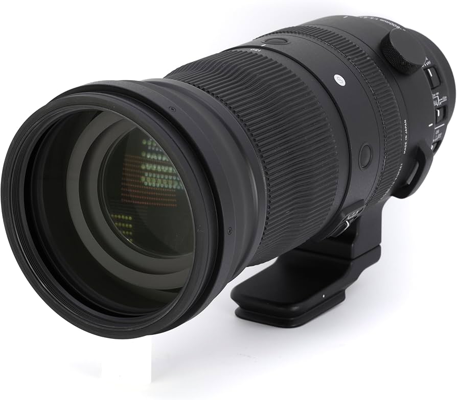 Amazon.com: Sigma 150-600mm F5/-6.3 DG DN for L Mount : Sports