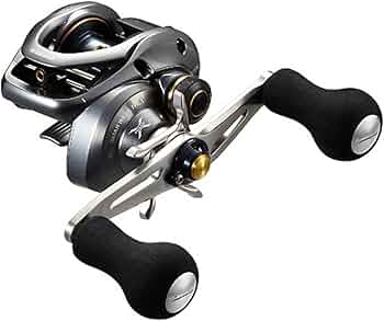 71BksYvMxBL._AC_UF350,