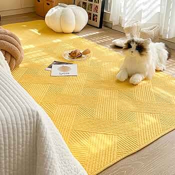 71Bvex-YTEL._AC_UF350,