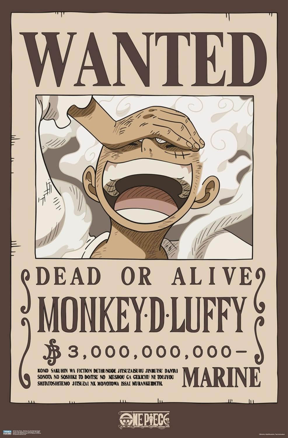 Amazon.com: One Piece - Monkey D Luffy Wanted Poster Wall Poster