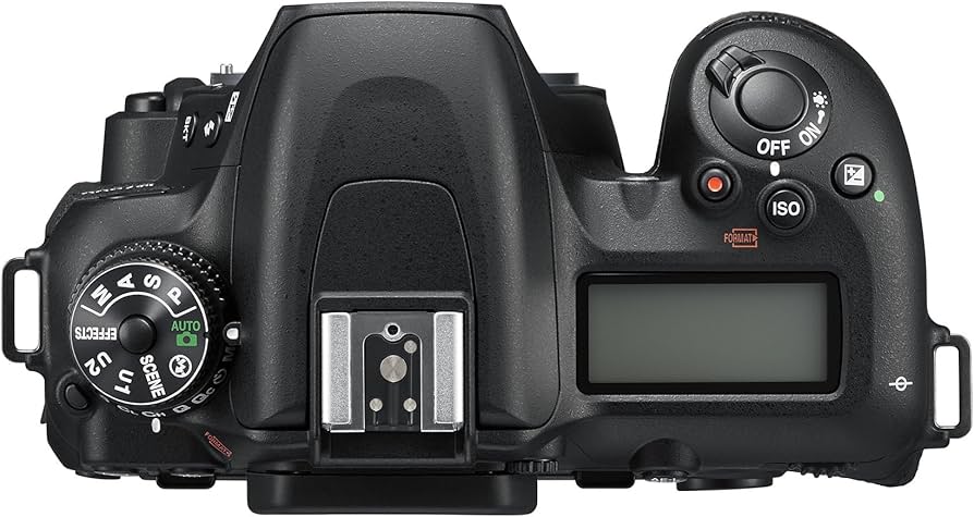 Amazon.com : Nikon D7500 DX-Format Digital SLR Body : Electronics