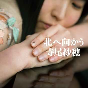 Amazon.co.jp: 北へ向かう: ミュージック