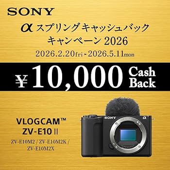 Amazon | SONY(ソニー) 【ZV-E10M2 と グリップ セット】 快適にVlog