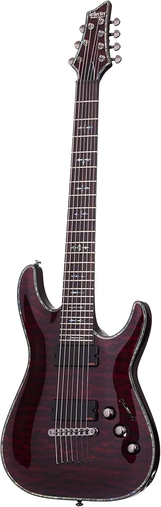 Amazon | Schecter シェクター Hellraiser C-7 7弦エレキギター (Black