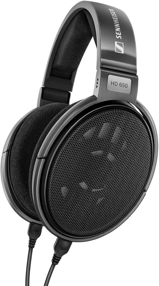 Amazon.com: Sennheiser Consumer Audio HD 650 - Audiophile Hi-Res