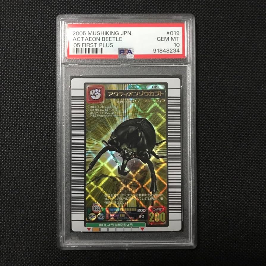 Amazon.co.jp: 甲虫王者ムシキング 2005ファーストプラス アクティオン