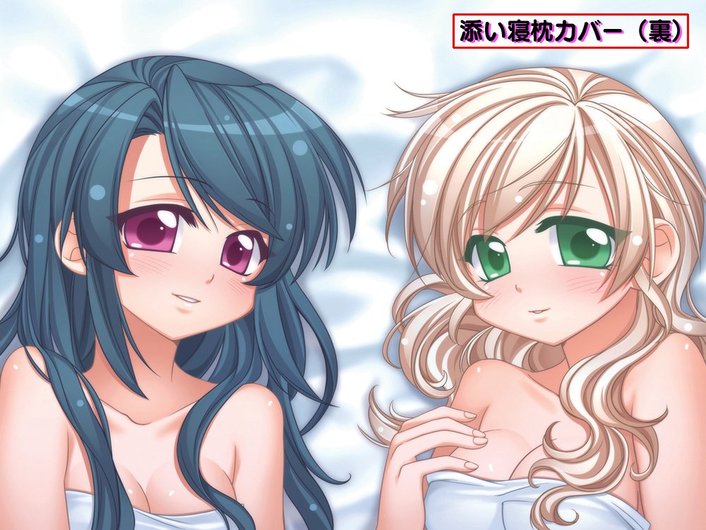 Amazon.co.jp: お掃除戦隊くりーんきーぱー H(はいぱー)(限定版:「枕