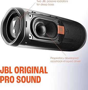 Amazon.com: JBL FLIP 5, Waterproof Portable Bluetooth Speaker