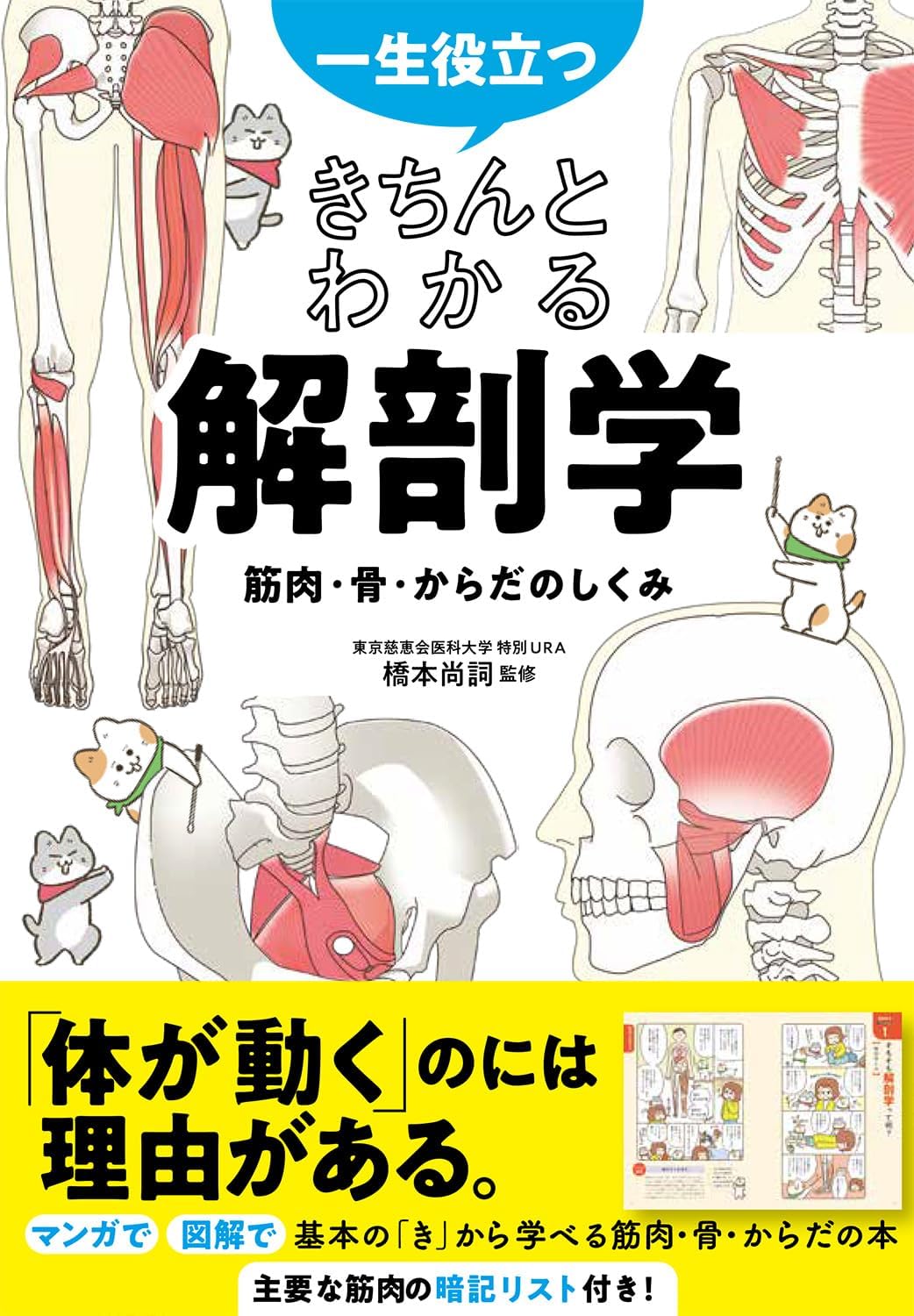 一生役立つ きちんとわかる解剖学 筋肉・骨・からだのしくみ | 橋本尚
