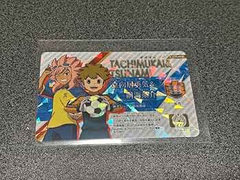 Amazon.co.jp: イナズマイレブン イレブンライセンス 立向居勇気 綱海