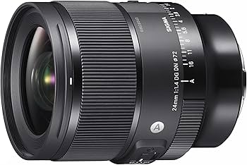 Amazon.com : Sigma 24mm F1.4 Art DG DN Lens for L Mount : Electronics