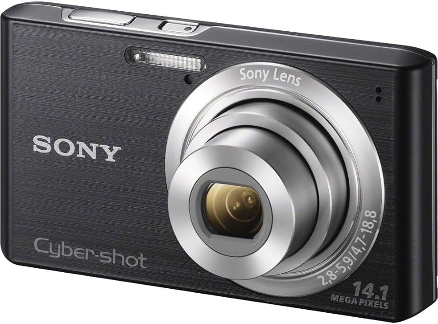 Amazon.com: Sony Cyber-shot DSC-W610 14.1 MP Digital Camera with