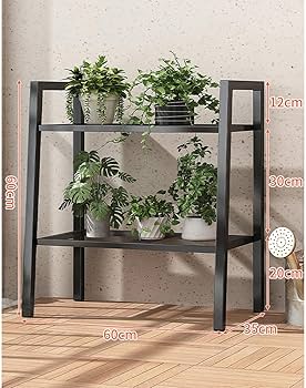 71E8iOjvZgL._AC_UF350,