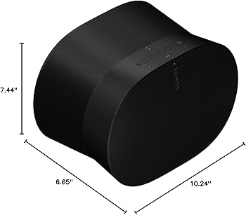 Amazon.com: Sonos Era 300 - Black - Wireless, Alexa Enabled Smart