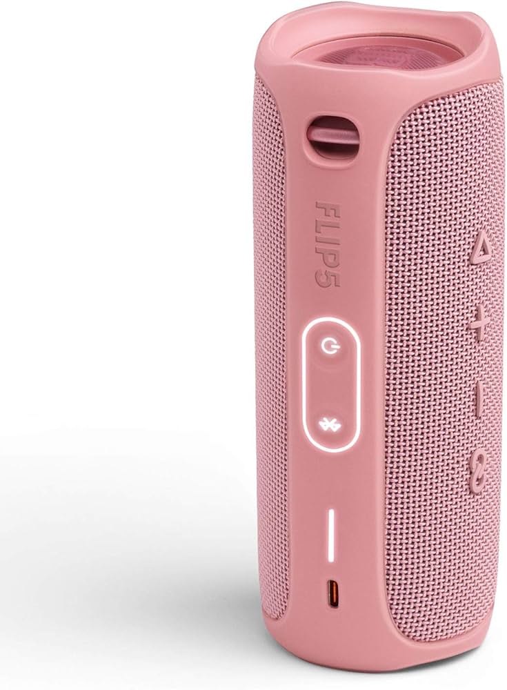 Amazon.com: JBL FLIP 5 Waterproof Portable Bluetooth Speaker
