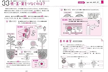 中1理科をひとつひとつわかりやすく。 (中学ひとつひとつわかりやすく