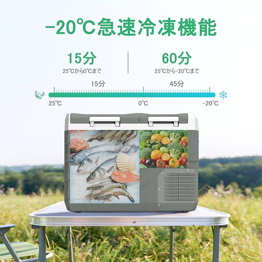 Amazon.co.jp: Alpicool 車載冷蔵庫 2室 31L ポータブル冷蔵庫 独立