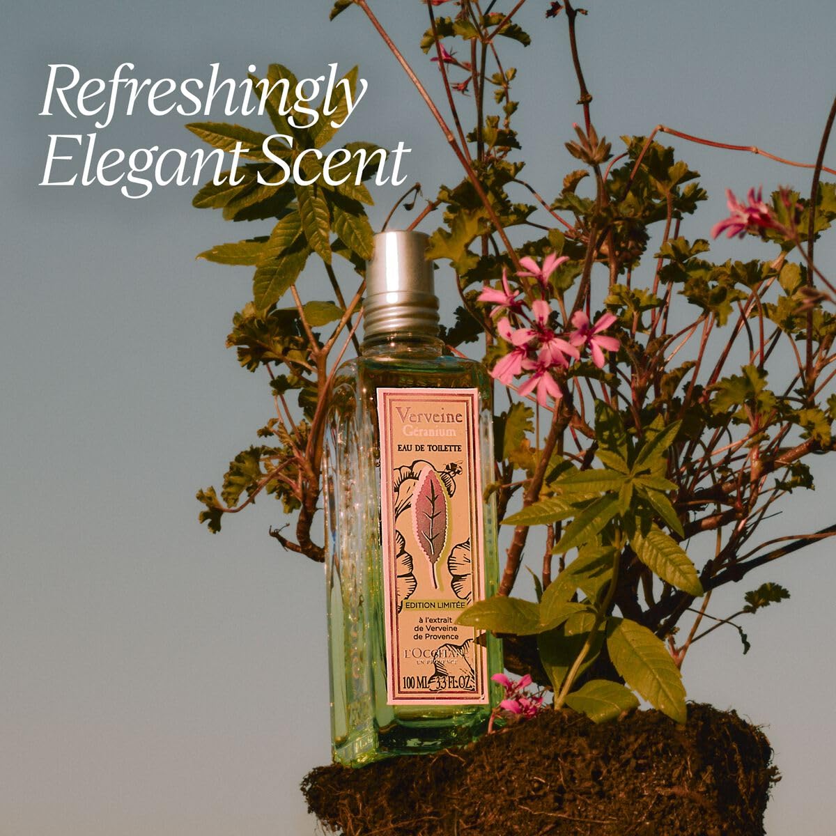 Amazon.com: L'OCCITANE Verbena Geranium Eau de Toilette 3.30 fl oz