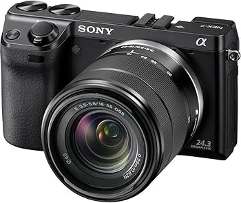 Amazon.com : Sony NEX-7 24.3 MP Mirrorless Digital Camera with 18