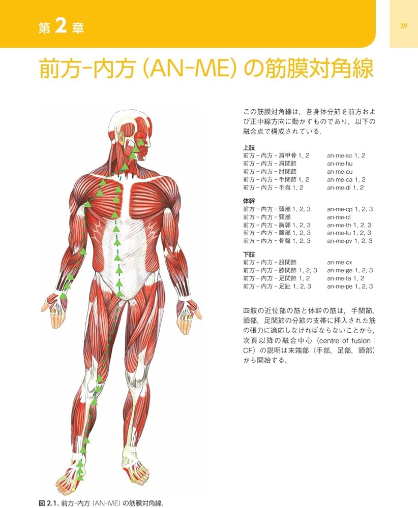Amazon.co.jp: 筋膜マニピュレーション 実践編 レベル2原著第2版