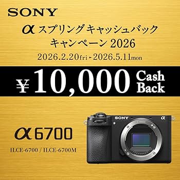 Amazon | SONY(ソニー) 【α6700M と ズームレンズ セット】 1本の