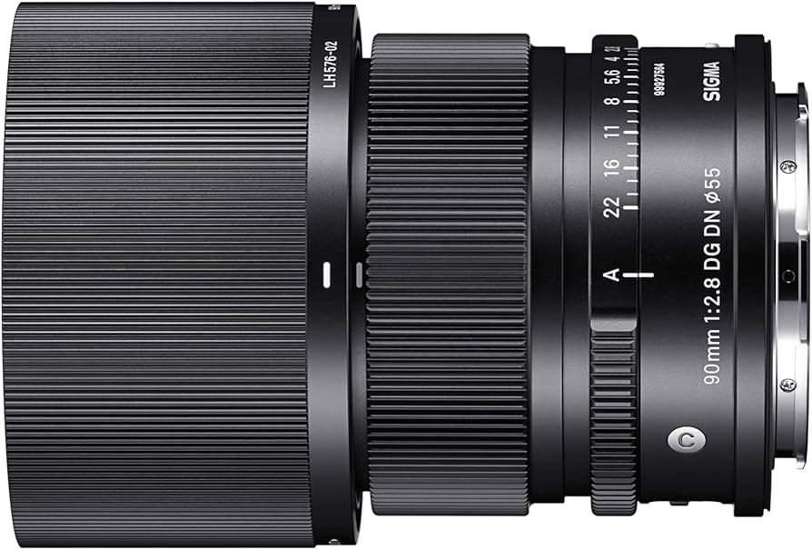 Amazon.com : 90mm F2.8 DG DN for Sony E : Electronics