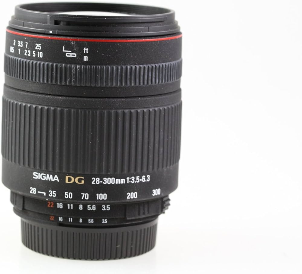 Amazon.co.jp: シグマ 28-300mm F3.5-6.3 DG MACRO ニコン用 : 家電