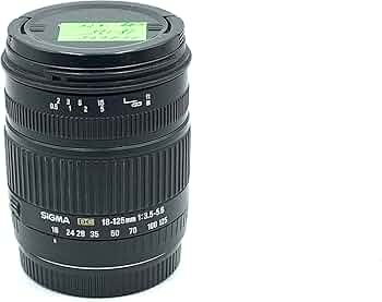 Amazon.com : Sigma 18-125mm f/3.8-5.6 AF DC OS HSM Zoom Lens for